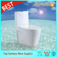 Foshan Sanitary Ware Supplier White Color S-trap Siphon Jet One Piece Toilets